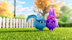 خرگوش های درخشان (کوچولو)